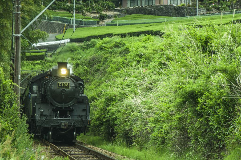 大井川鉄道～田野口付近①