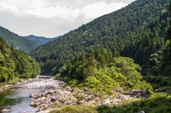 阿部地区下流の中洲