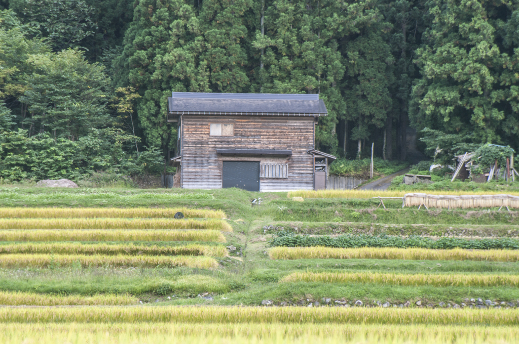 白川郷の片隅で