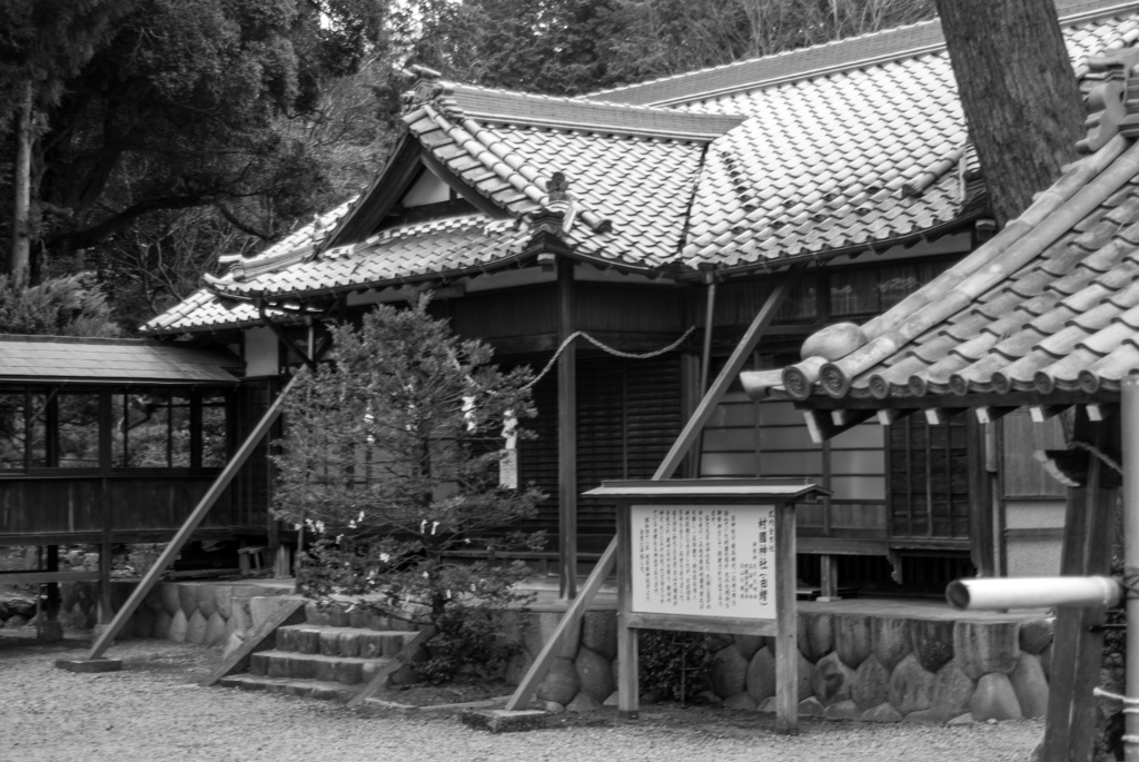 村国神社⑤
