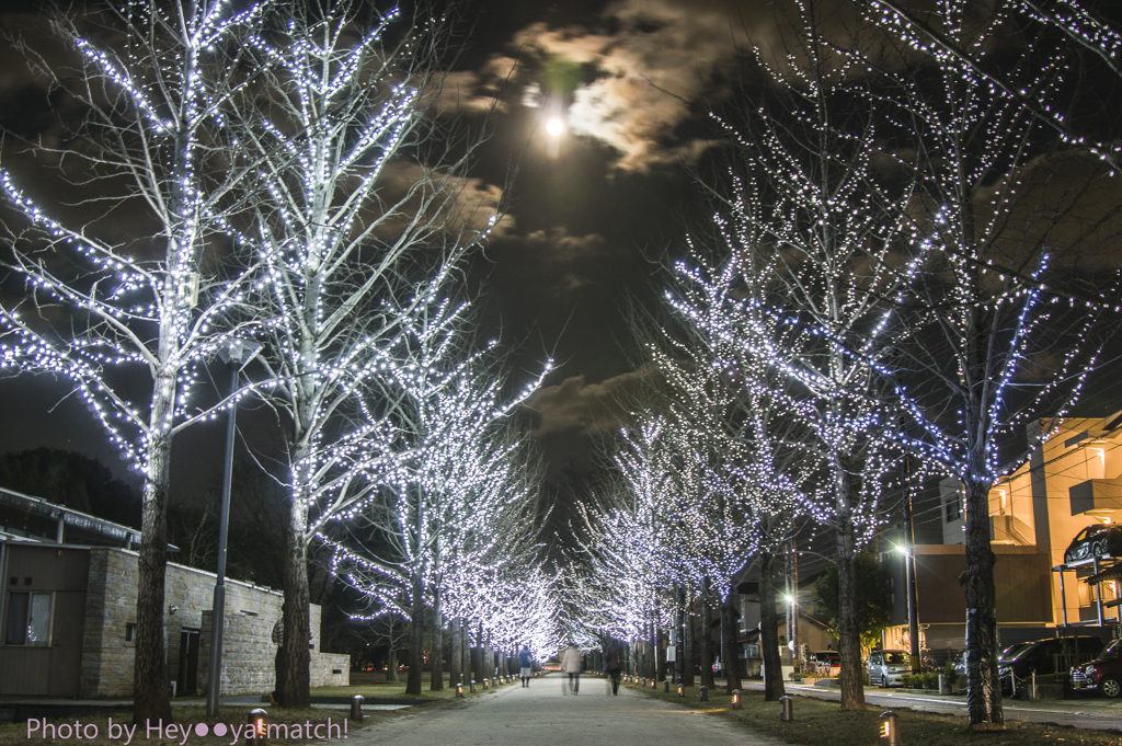 師走の月夜とイルミネーション（満月の学びの森）