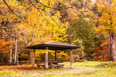 紅葉⑩せせらぎ平滝
