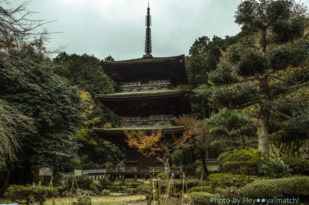 清瀧寺徳源院の三重の塔