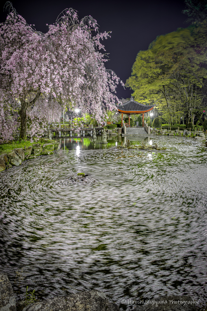 日中友好庭園2025