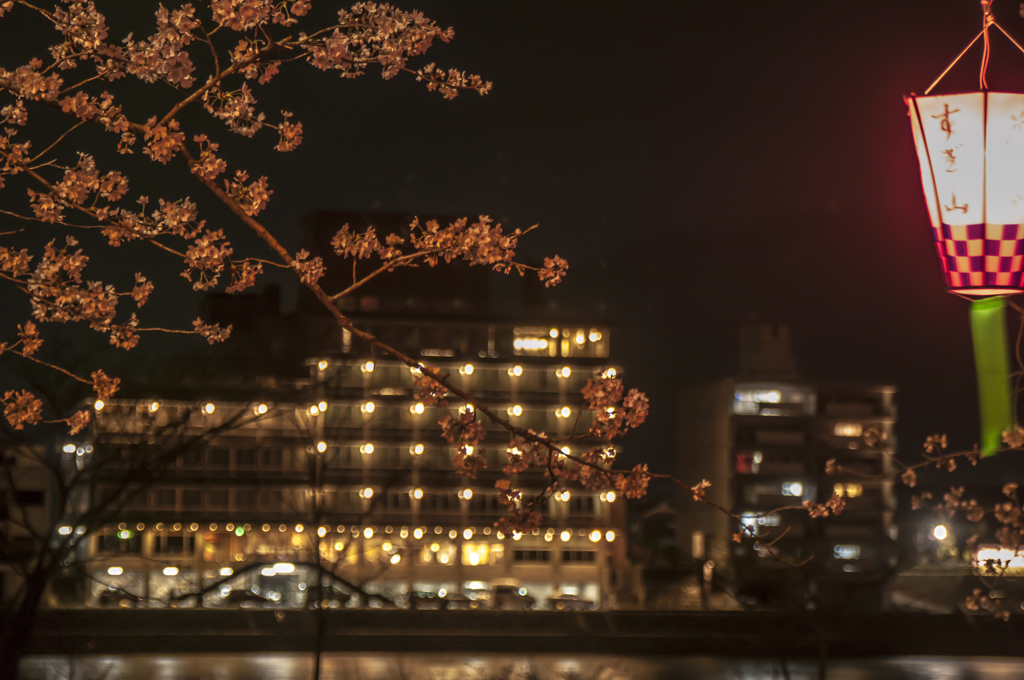 夜桜番外編その４