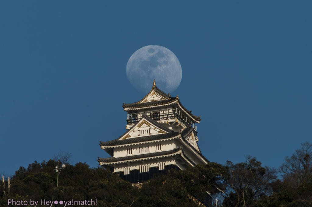 岐阜城と午後の月