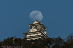 岐阜城と午後の月