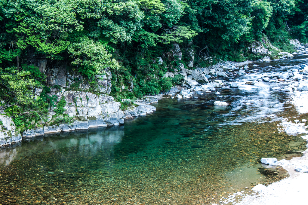 板取川の碧い淵