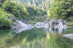 板取川の水辺