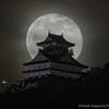 十六夜