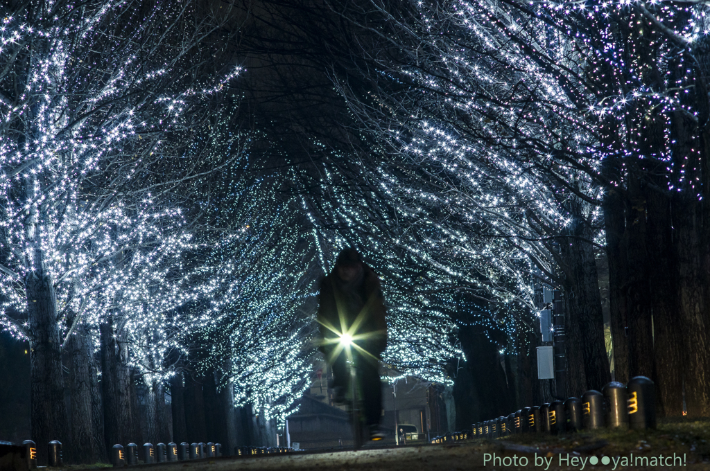 雨上がりの寒い夜