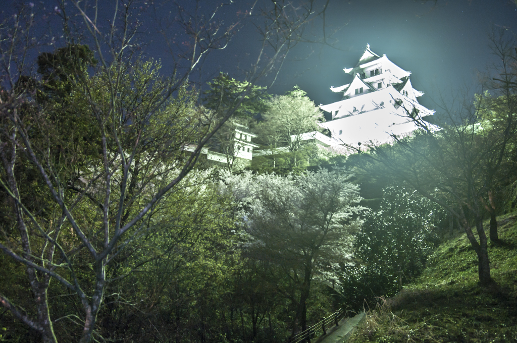 夜桜番外編その５
