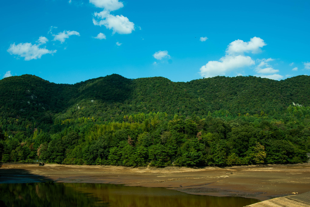 寒洞池の水抜き