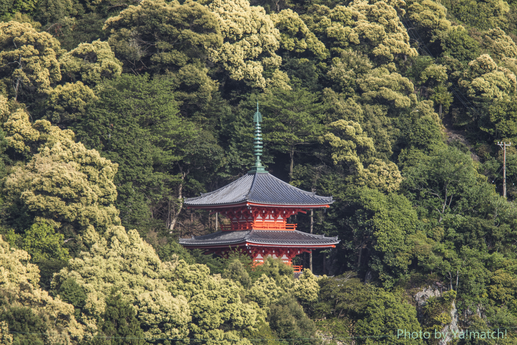 金華山と三重の塔