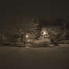 誰もいない公園（雪景色）