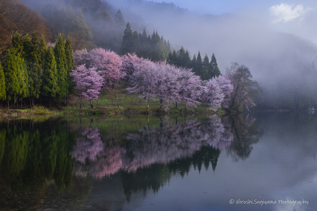 信濃路の桜2023