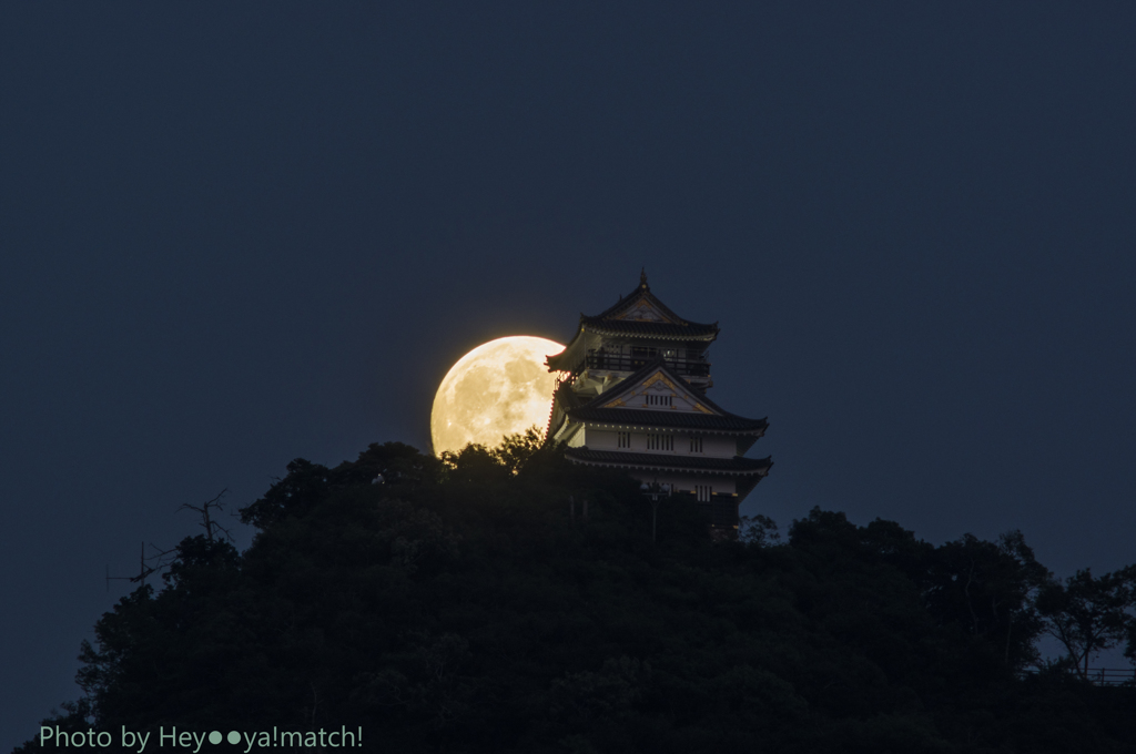 真夏の夜の夢