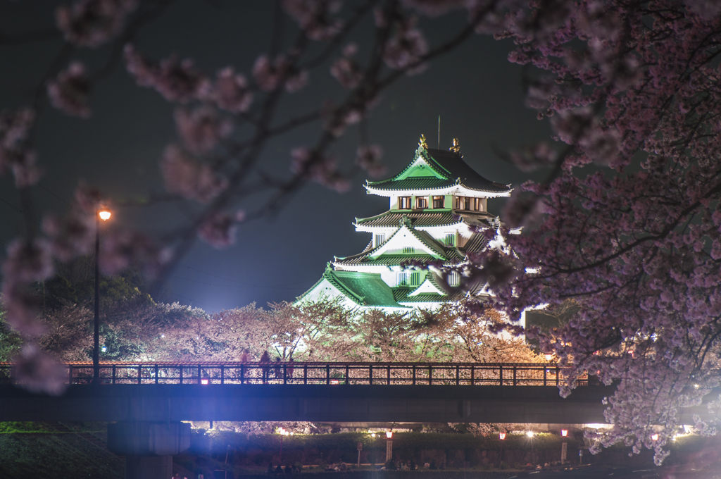 一夜城の夜桜見物（END）