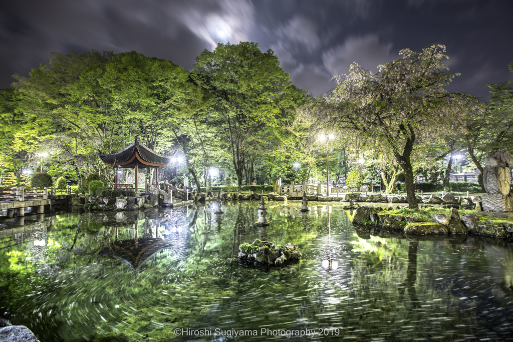 日中友好庭園（桜の季節の終焉に）