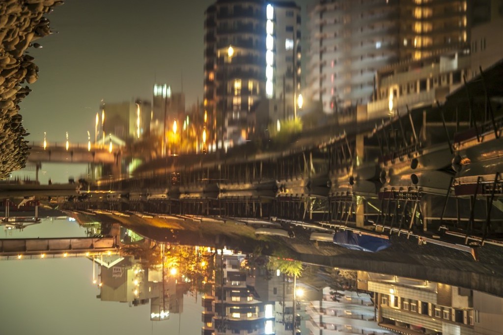 春の夜の夢