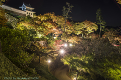 郡上八幡城（城山公園のもみじライトアップ）