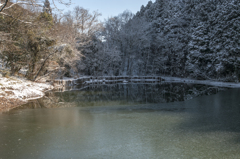 下池の薄氷