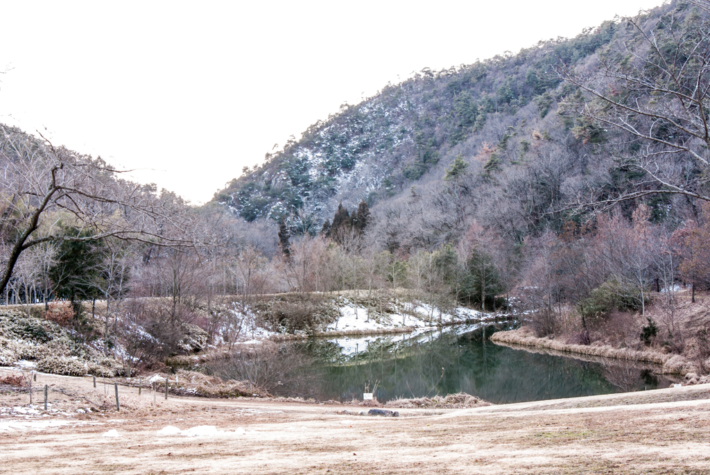 山里の池辺の冬景