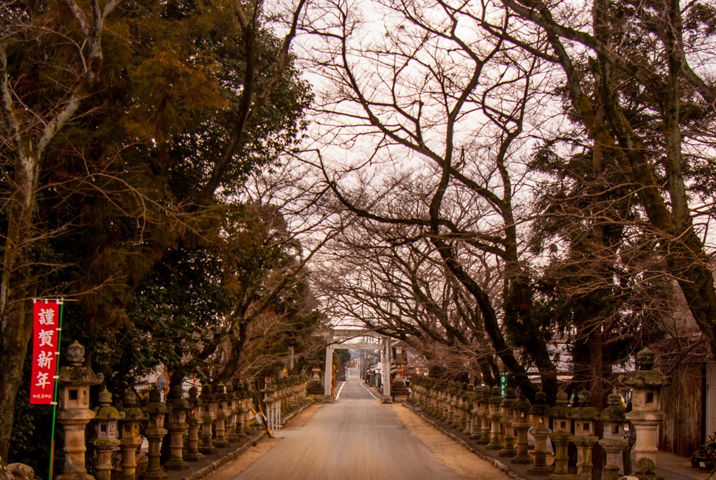 左義長の帰り道