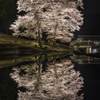 苗代桜の水鏡Ⅱ