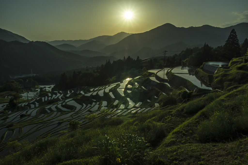 丸山千枚田～夕暮れ