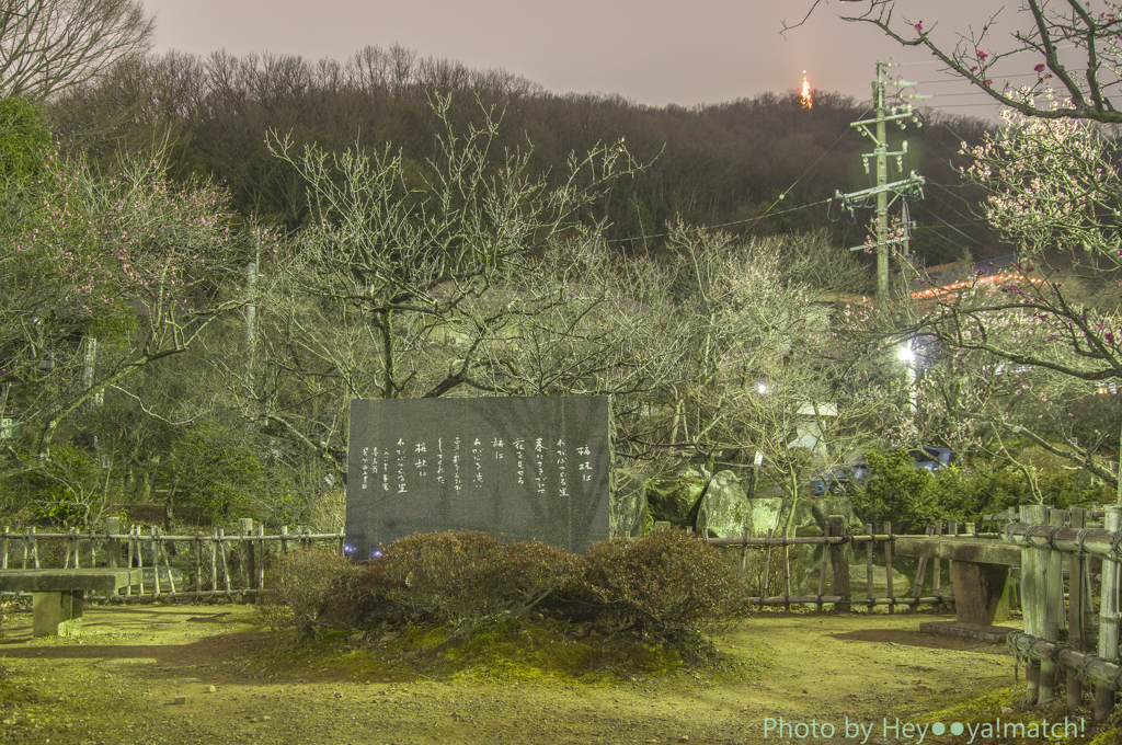 夜の梅林公園①