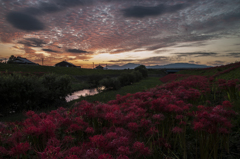 秋の夕暮れ（彼岸花）