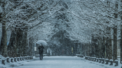 冬ソナの並木路（雪景色バージョン）