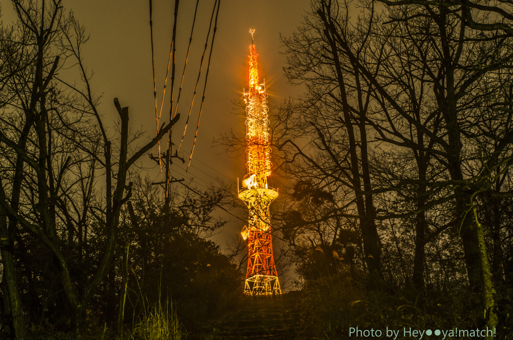 TOKYO-TOWER of GIFU