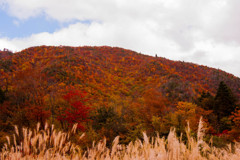 荘川地区三谷付近の山頂風景②