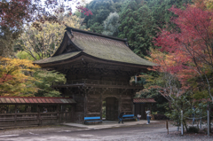 大谷田神社①