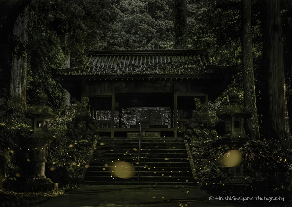 ヒメの参拝