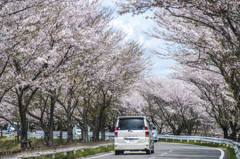 新境川堤防③