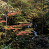 紅葉⑪せせらぎ大倉