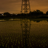 田植えが終わって・・・