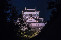 懐中電灯持参の岐阜城展望
