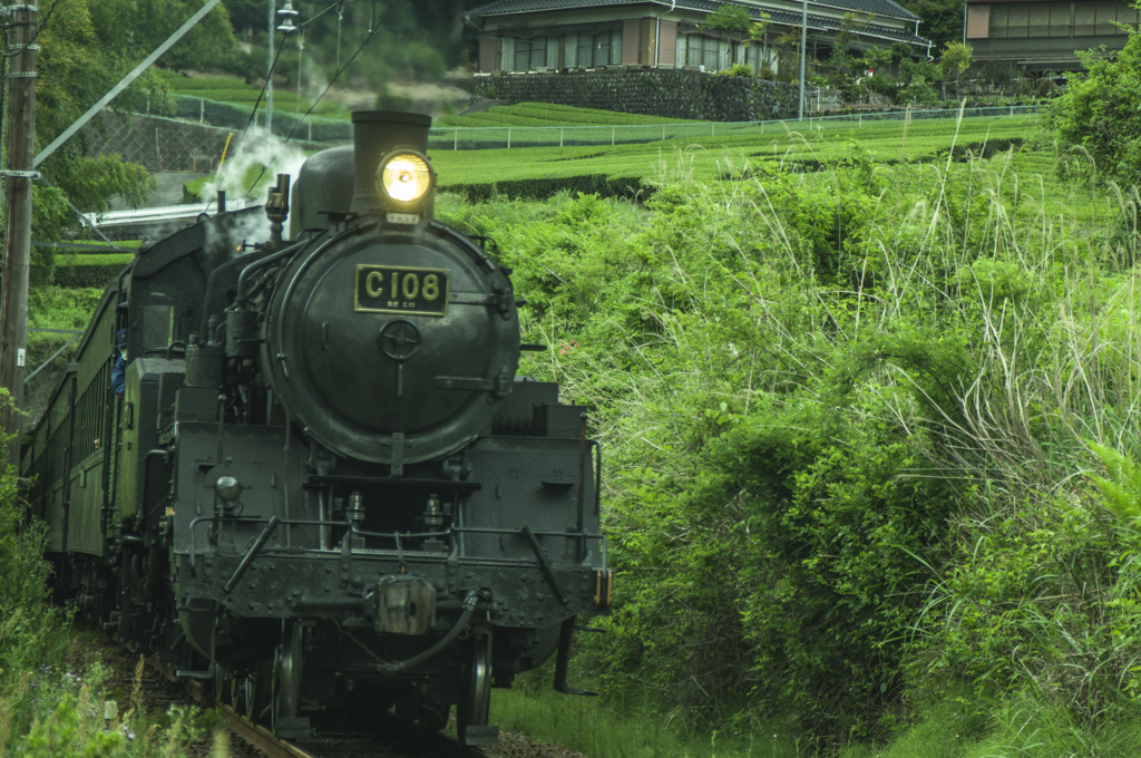 大井川鉄道～田野口付近②