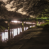 夜桜十景（５）