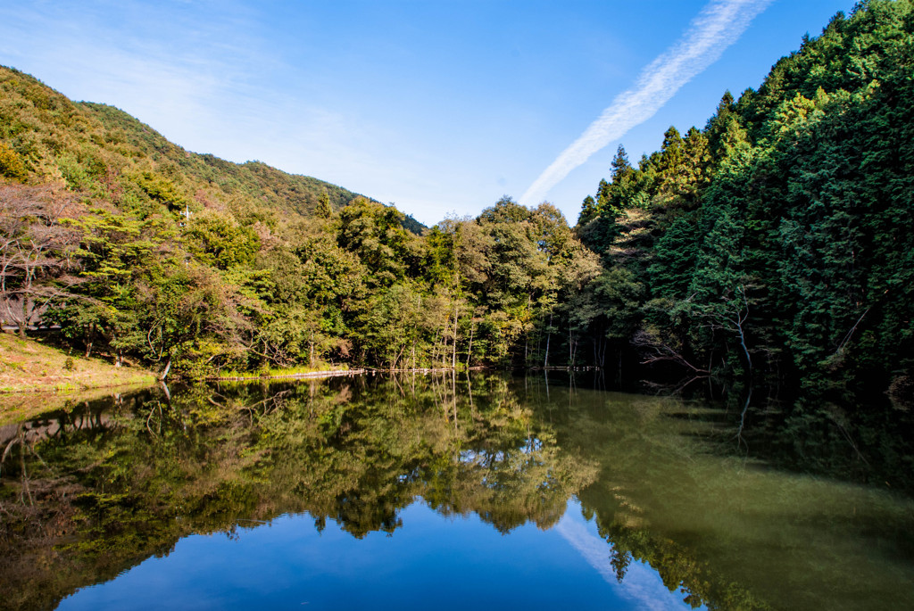 三ツ池（下池）②