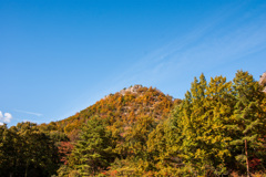 里山の散策②