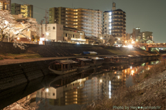 長良川河畔にて