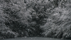 雪景色（上池）