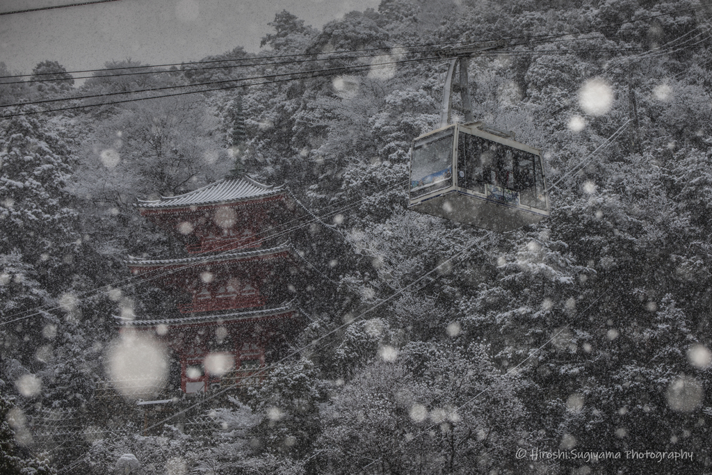 雪景色（岐阜公園）