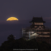 国宝犬山城と小望月