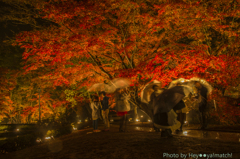 曽木公園（小雨結構）